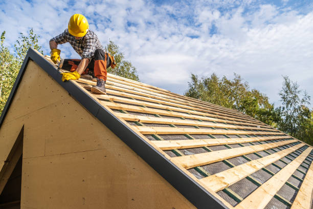 Best Roof Leak Repair  in Roanoke, VA