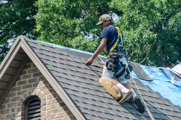 Best Roof Maintenance Services  in Roanoke, VA